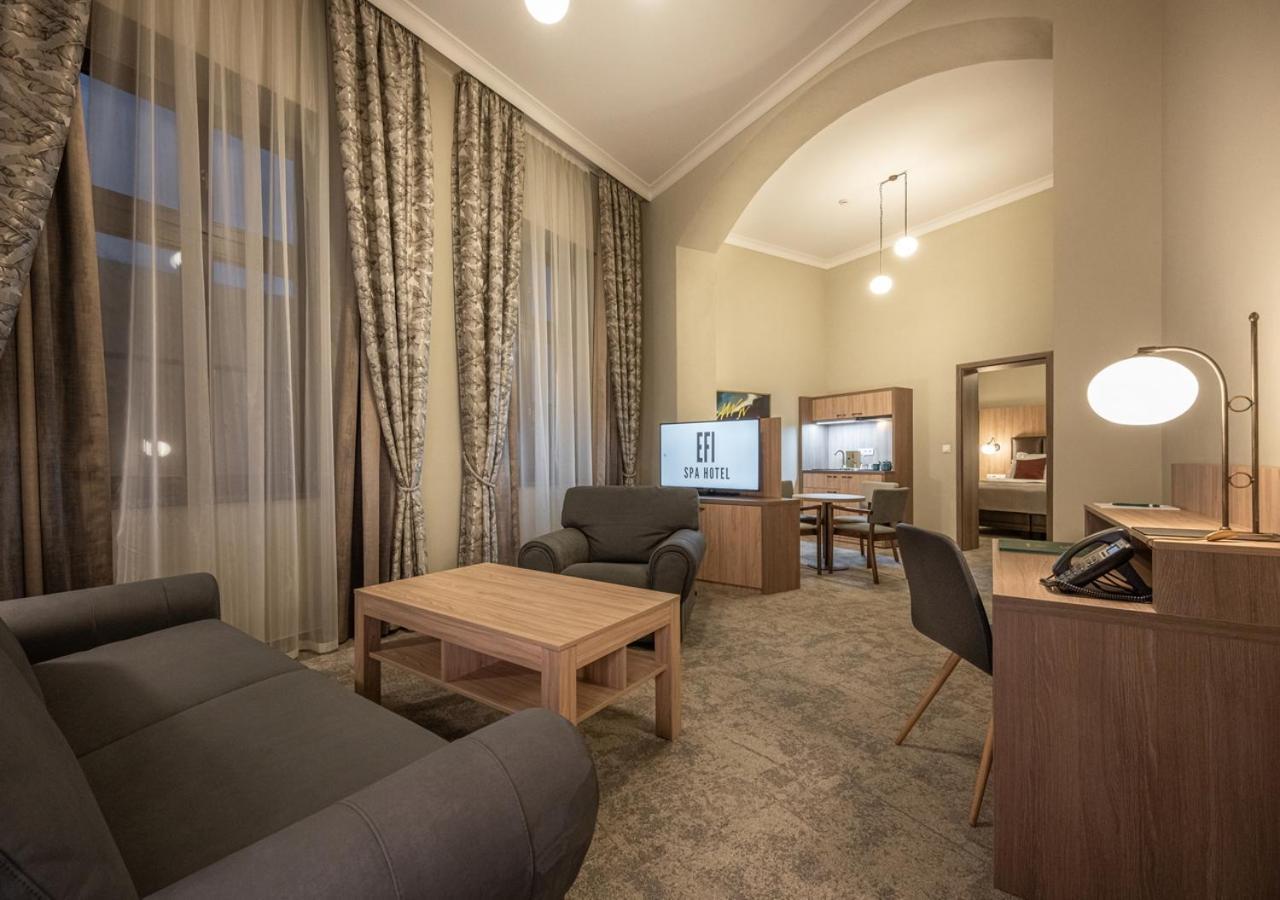 Efi Spa Hotel Superior & Pivovar 布尔诺 外观 照片