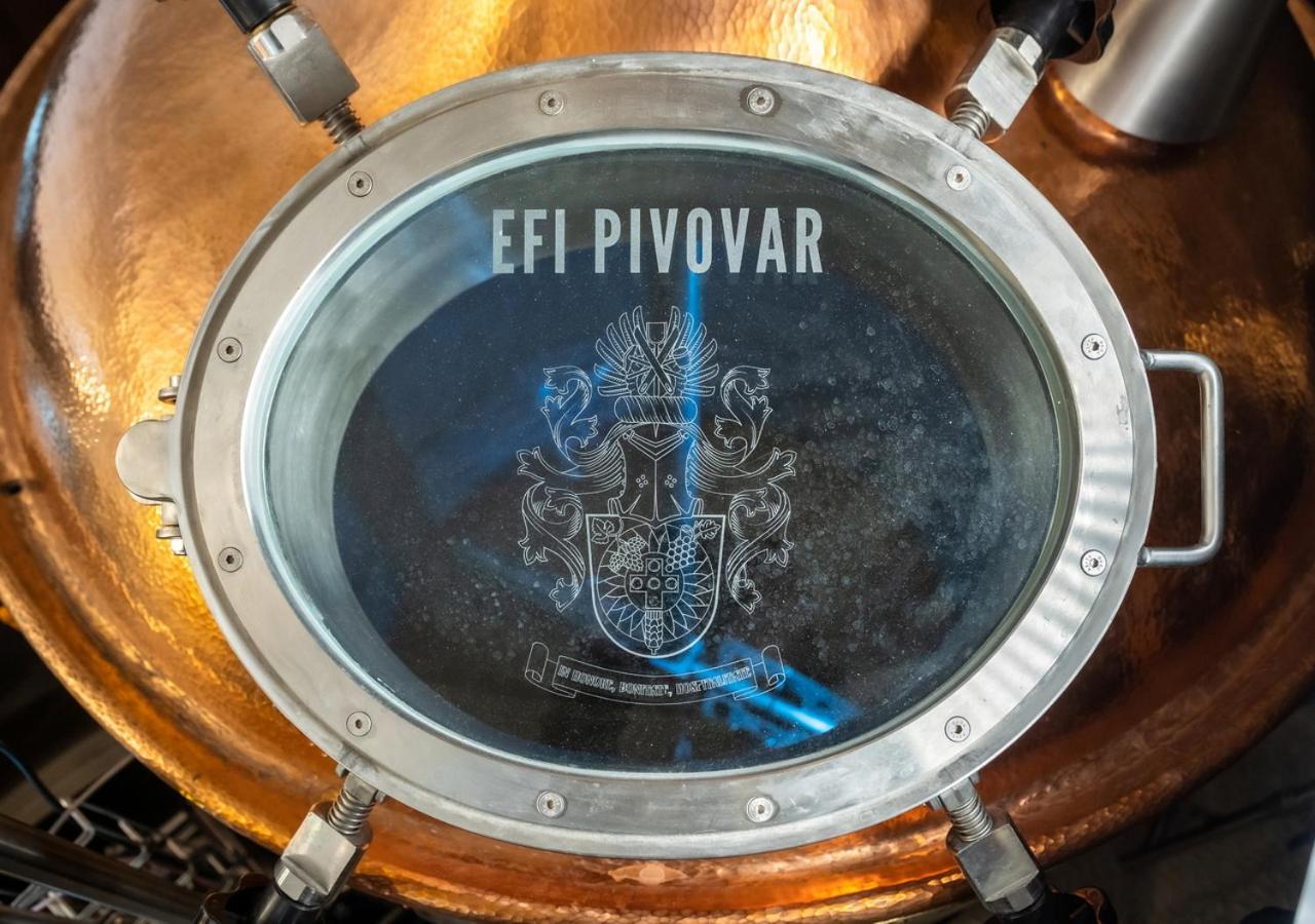 Efi Spa Hotel Superior & Pivovar 布尔诺 外观 照片